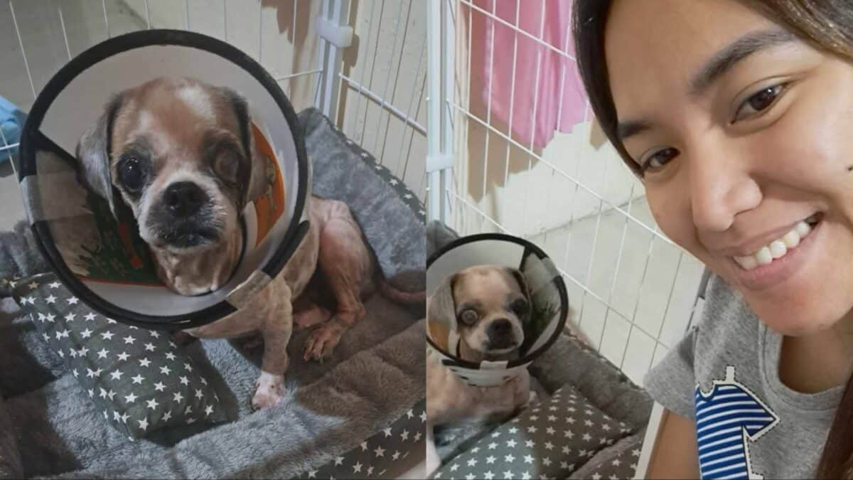 Mary Gracelyn Galang poses for a photo with Pepper as her fur baby finally returns home from the veterinary clinic. Photos courtesy of Mary Gracelyn Galang/Facebook