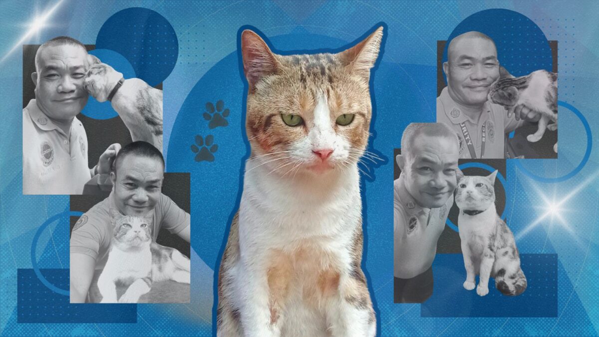 Fur parent Benjamin Aguila documents life as a security guard with his adopted cat, Sawacat. Photos courtesy of Benjamin Aguila. Graphics: Abigail Sales/INQUIRER.net trainee